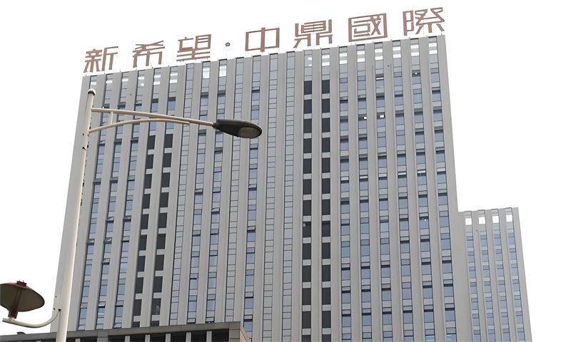 新希望中鼎国际