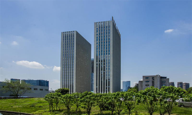 新希望中鼎国际